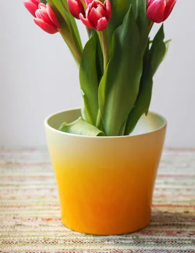 Tulip Pot
