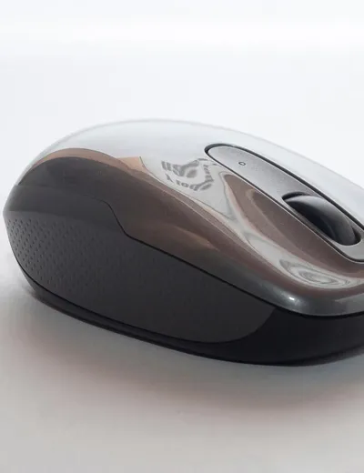 Wireless Optical Mouse